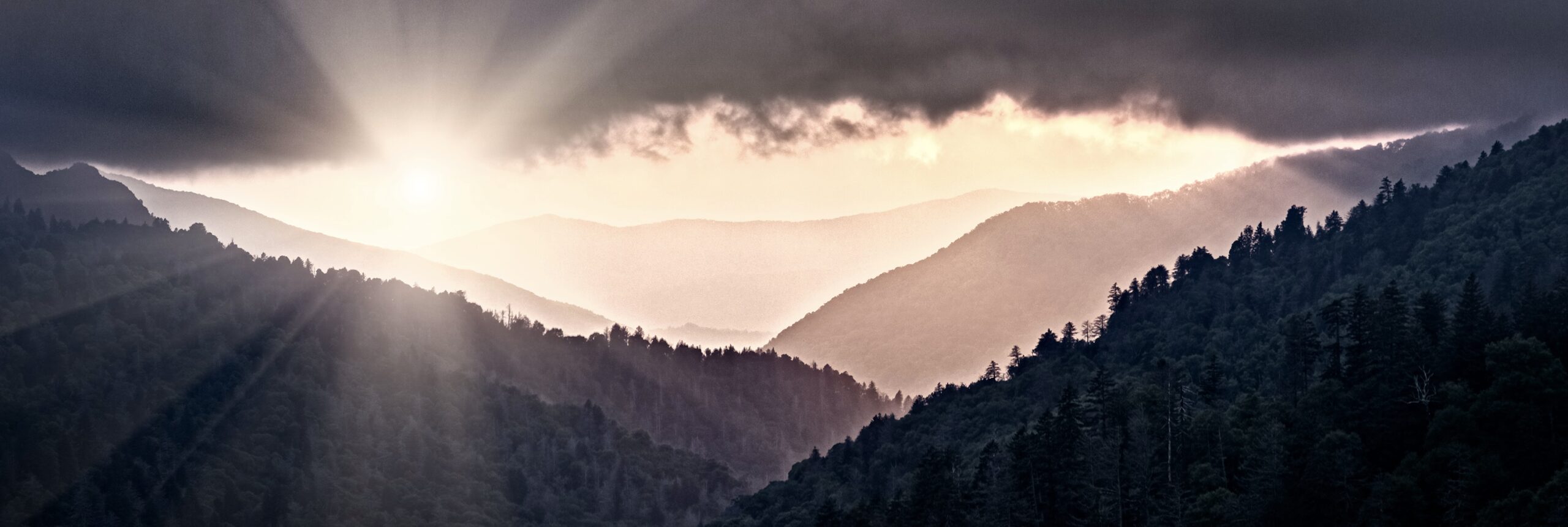 After the Storm